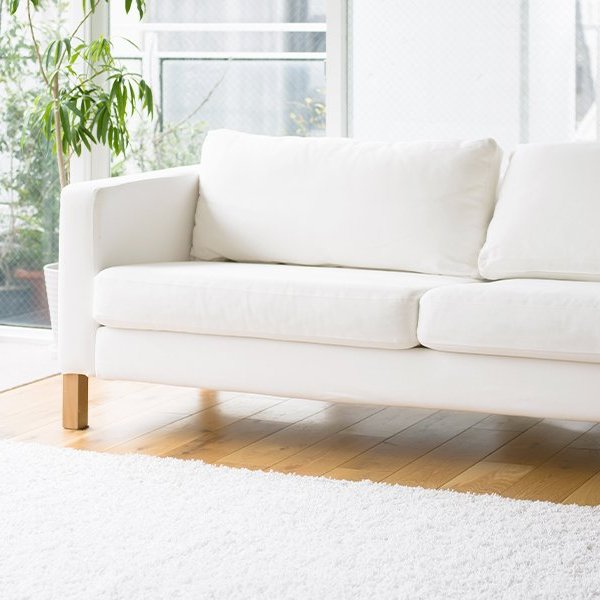 Area rug trends in North Myrtle Beach, SC from The Wholesale Flooring