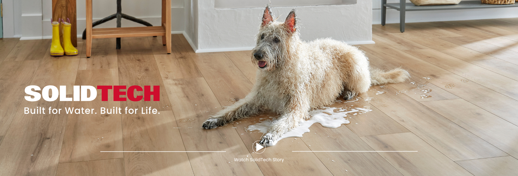Wet Dog on a SolidTech Pet Friendly Floor